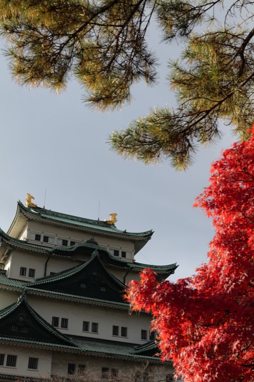 変換前の城と紅葉の写真