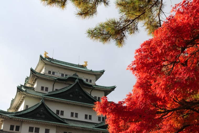 変換前の城と紅葉（ファミコン風）の写真