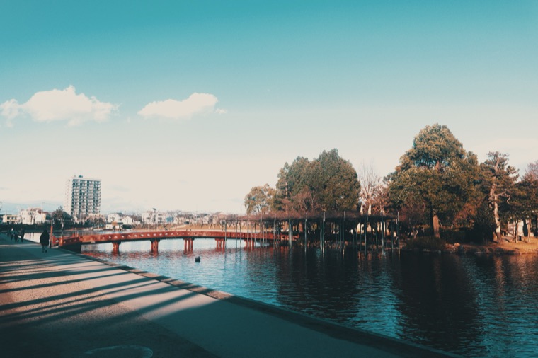 変換前の川と橋（青ノイズ）の写真