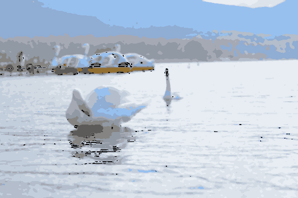 白鳥を手描き風に変換した結果